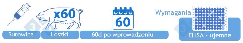 Kategoria III Wstępnie negatywna. Należy przebadać surowicę 60 ujemnych loszek remontowych&nbsp;metodą ELISA 60 dni po ich pierwszym wprowadzeniu. Do uzyskania tej kategorii wymagany jest brak wynik&oacute;w dodatnich.
