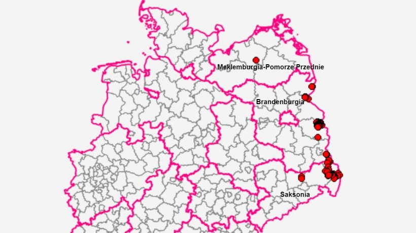 Landy w Niemczech, w kt&oacute;rych wystąpiły przypadki ASF. Źr&oacute;dło: FLI.
