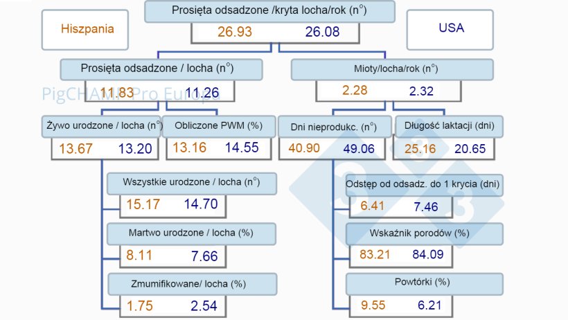 Wykres 1.&nbsp;Drzewo produkcyjności, Hiszpania vs USA, 2019.
