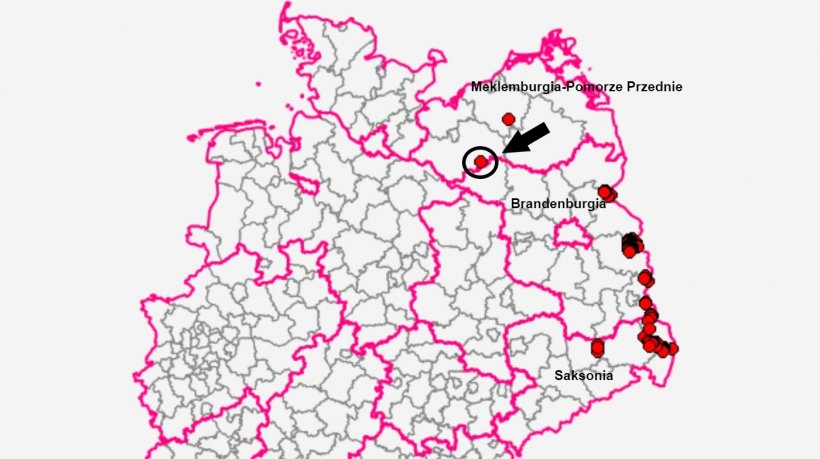 Przypadek miał miejsce w Marnitz w powiecie Ludwigslust-Parchim. Źr&oacute;dło: TSIS.
