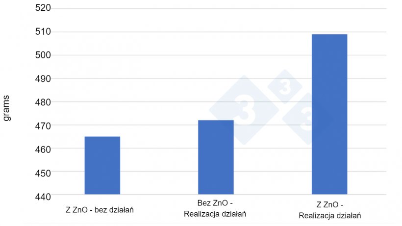 Rysunek 2. Średni dzienny przyrost (ADG) uzyskany w 3 pr&oacute;bach trwających 6 miesięcy każda &ndash; od kwietnia 2020 r. do września 2021 r., przy 12 000 &ndash;12 500 prosiąt na pr&oacute;bę w r&oacute;żnych warunkach (ZnO bez żadnych działań, bez ZnO, ale z nowymi strategiami żywienia i inicjatywami w zakresie higieny i zarządzania i ZnO w połączeniu z nowymi strategiami). Źr&oacute;dło: duński producent trzody chlewnej Anders Rold &ndash; uczestnik projektu SEGES/Vilomix.
