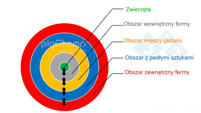 Ilustracja 1. Schematyczne przedstawienie bezpieczeństwa biologicznego gospodarstwa zorganizowanego w kręgi
