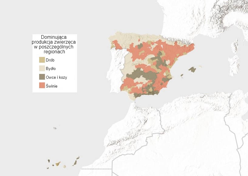 Dominujący typ zwierząt gospodarskich w Hiszpanii (według jednostek przeliczeniowych pogłowia). Source: INE.