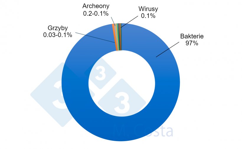 Wykres 1.&nbsp;Szacowany względny udział r&oacute;żnych mikroorganizm&oacute;w w mikrobiomie jelitowym świń. Podczas gdy bakterie odpowiadają za zdecydowaną większość mikrobiomu w jelitach świń, inne mikroorganizmy odgrywają ważną rolę w złożonej sieci, jaką jest interakcja jelito-mikrobiota.
