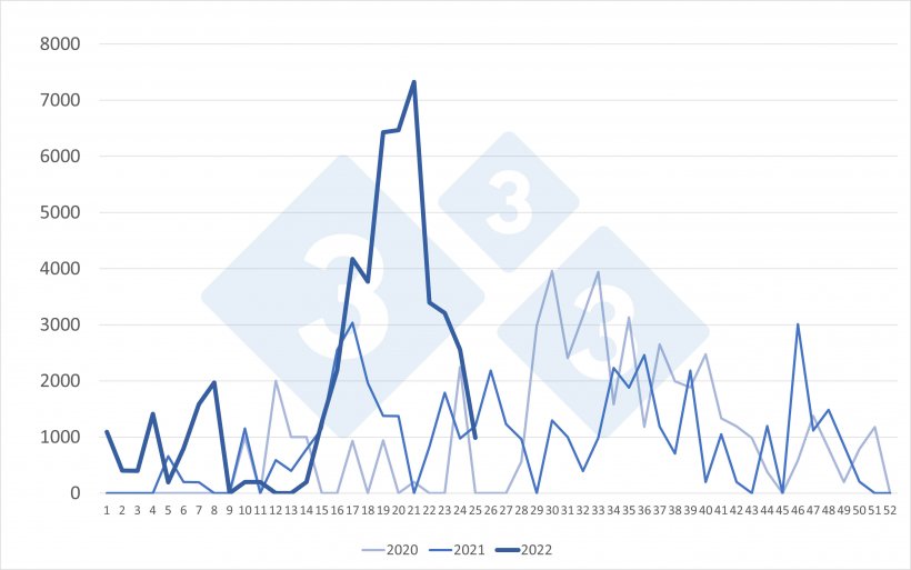 Tygodniowy import świń z Holandii (szt.). Źr&oacute;dło: 333 na podstawie danych RVO.
