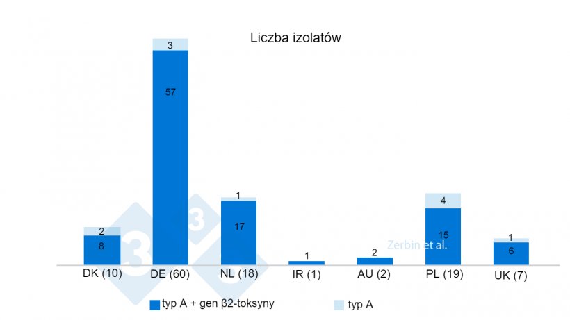 Wykres 4.&nbsp;Liczba i odsetek izolat&oacute;w C. perfringens z genem &szlig;2-toksyny i bez, z og&oacute;lnej liczby 117 izolat&oacute;w według kraju pochodzenia. W nawiasach liczba izolat&oacute;w w poszczeg&oacute;lnych krajach.
