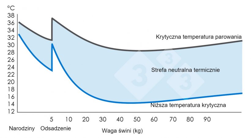 Wykres 1. Strefa neutralna termicznie lub strefa komfortu termicznego (gdzie świnia czuje się komfortowo). Ministerstwo Rolnictwa, Ryboł&oacute;wstwa i Żywności (1983). Pig Environment. Wielka Brytania: MAFF. (Tom 2410).
