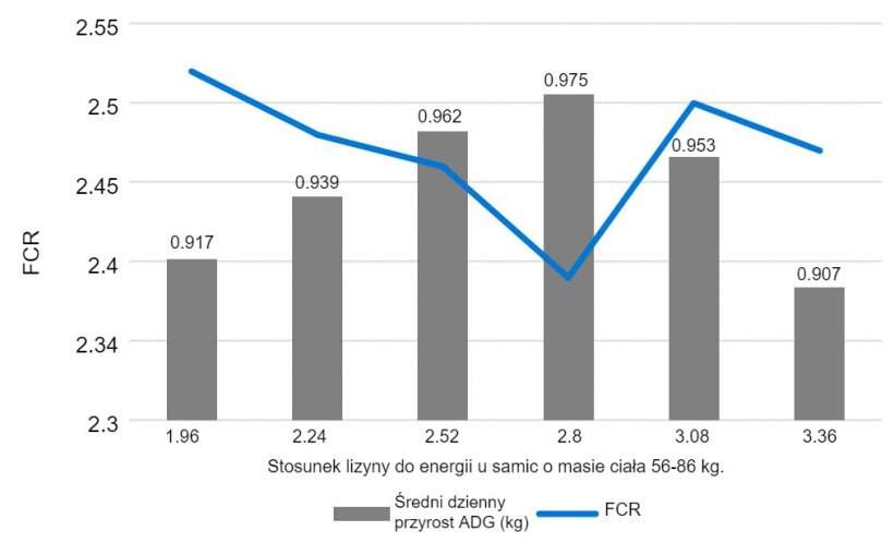 Wykres 1. Wpływ stosunku lizyny do energii u samic o masie ciała 56-86 kg. Main, et al. 2002.
