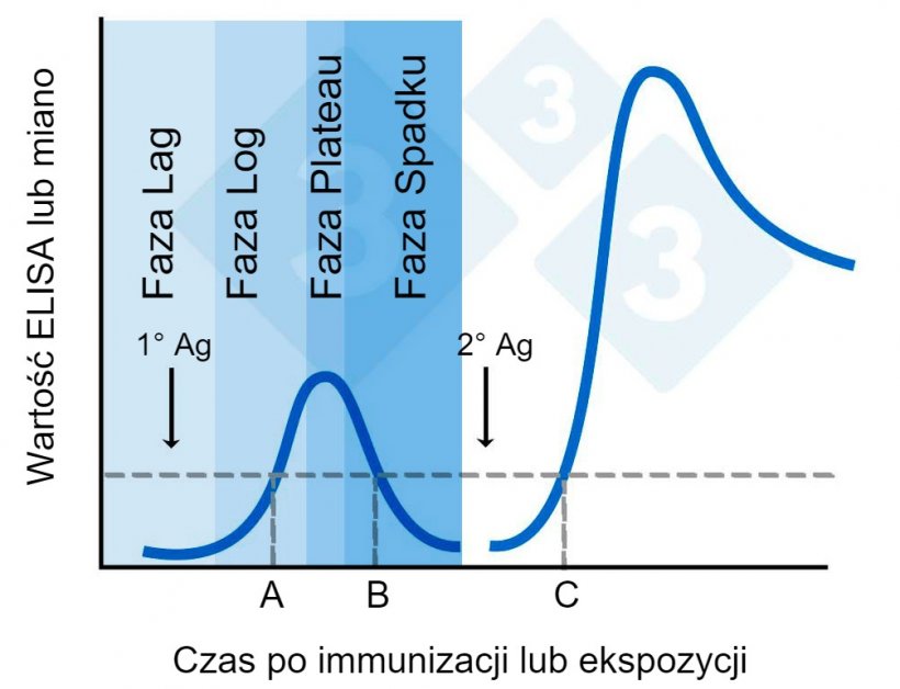 Ryc. 2.&nbsp;Wartość ELISA lub miano w okresie po immunizacji.
