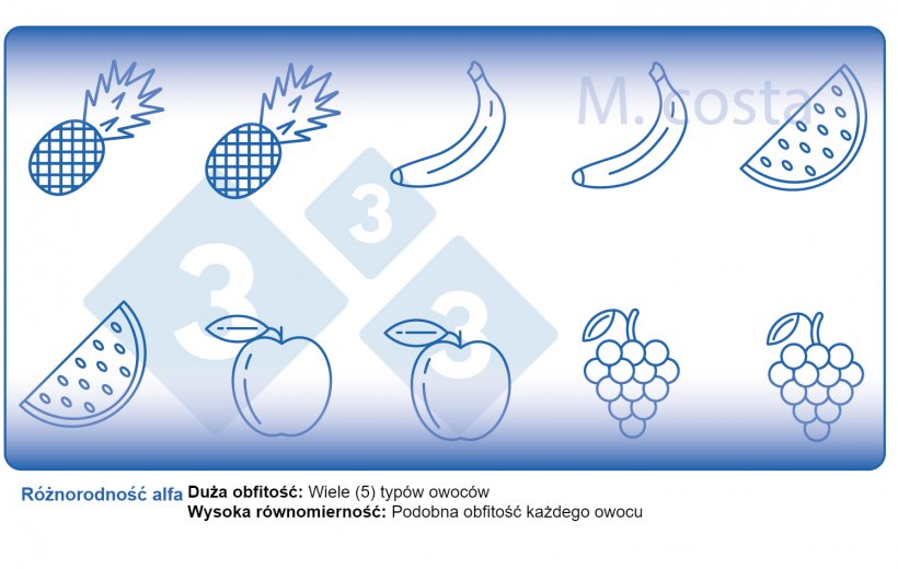 Schemat 2. Jak interpretować miary r&oacute;żnorodności mikrobiologicznej w obrębie pr&oacute;bek (r&oacute;żnorodność alfa). R&oacute;żnorodność jest produktem bogactwa (np. rodzaje owoc&oacute;w) i r&oacute;wnomierności (np. rozmieszczenie lub obfitość każdego rodzaju owoc&oacute;w) w danej pr&oacute;bie.
