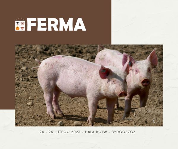 FERMA 2023