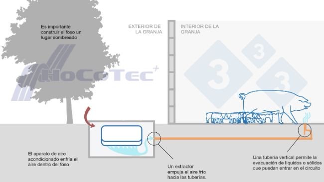Jak działa system Freshnose