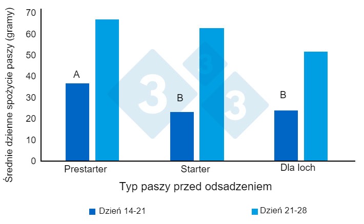 Wykres 1. Średnie dzienne spożycie paszy przez prosięta jedzące (gramy/dzień) przed odsadzeniem. Zaadaptowane z Heo i in. (2018). R&oacute;żne nadpisy (AB) przy&nbsp;słupkach wskazują na tendencję do istotnej r&oacute;żnicy między grupami (P&lt;0,10).
