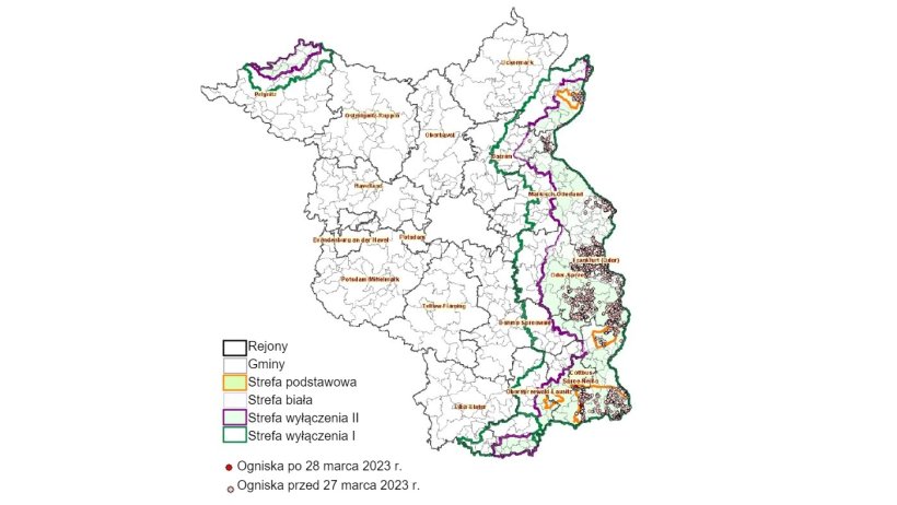 Og&oacute;lna sytuacja w zakresie ASF w kraju związkowym Brandenburgia (stan na 5 kwietnia 2023 r.)
