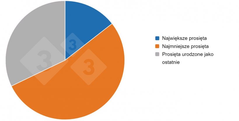 Wyniki ankiety 333 dotyczącej ssania dzielonego
