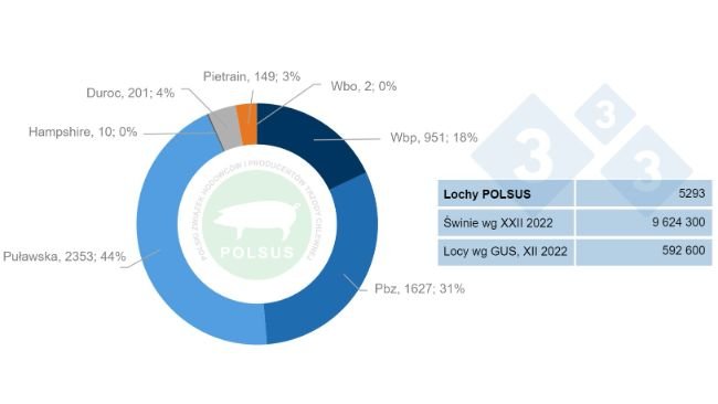 Rys.2 Struktura i liczba loch pod oceną POLSUS.