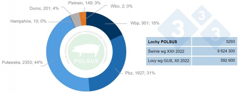 Rys.2 Struktura i liczba loch pod oceną POLSUS.