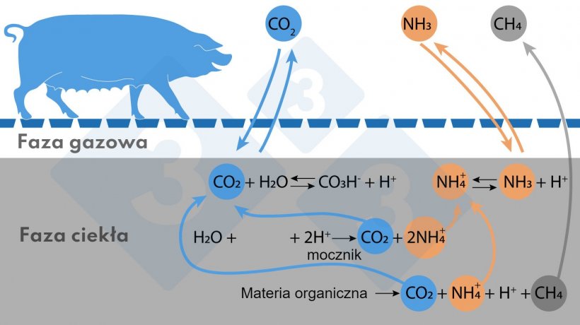 Ryc. 1.&nbsp;Uproszczony schemat reakcji wpływających na emisję NH3 i CH4.
