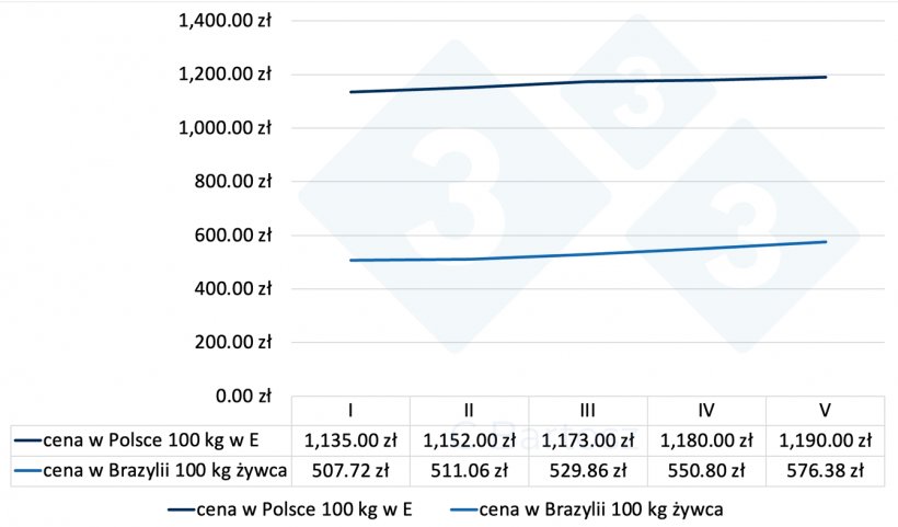 Relacja wartości świń w Polsce, a w Brazylii w czerwcu 2023.
