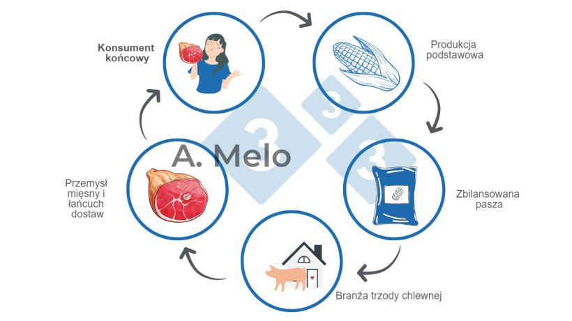 Ryc. 1.Łańcuch produkcji mięsa wieprzowego od produkcji podstawowej do stołu konsumenta końcowego.
