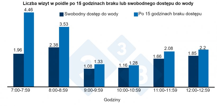 Ryc. 1. Liczba wizyt w poidle po 15 godzinach pozbawienia lub swobodnego dostępu do wody.
