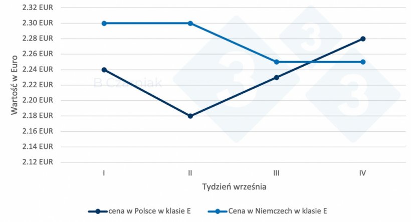 Wahania cen w klasie E w Polsce i w Niemczech
