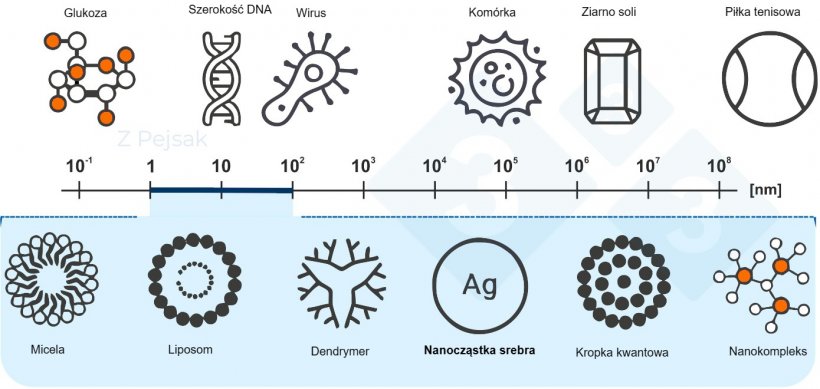 Ryc. &nbsp;2. Skala nanometryczna
