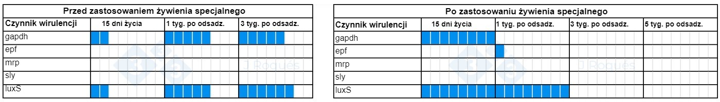 Tabela 1. Ewolucja czynnik&oacute;w wirulencji wykrytych u Streptococcus suis po włączeniu SCFA i MCFA.
