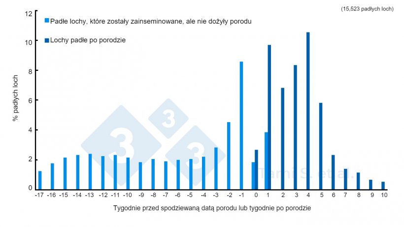 Wykres 1. Względne częstotliwości (%) występowania przypadk&oacute;w padnięcia loch, przed lub po oproszeniu, spośr&oacute;d 7 778 loch inseminowanych i 7 745 loch oproszonych. Źr&oacute;dło:&nbsp;Tami S. et al. 2017.
