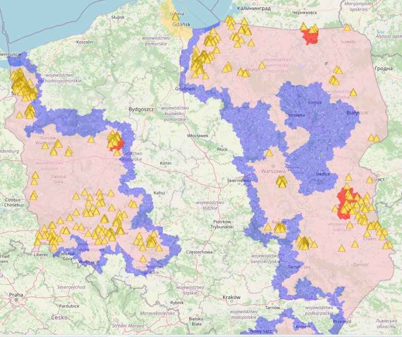 Mapa przypadków ASF u dzików w 2024r.