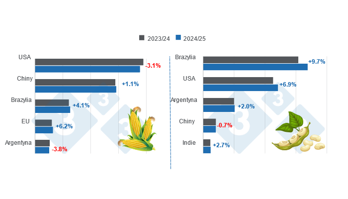 Prognoza zbior&oacute;w dla gł&oacute;wnych światowych producent&oacute;w kukurydzy i soi - sezon 2024/25 w por&oacute;wnaniu z sezonem 2023/24. Przygotowane przez 333 Latin America na podstawie danych FAS - USDA.
