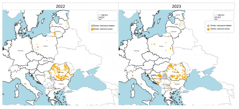 Rozkład przestrzenny ognisk ASF wśr&oacute;d świń domowych w 2022 r. (po lewej) i 2023 r. (po prawej). Źr&oacute;dło: ADIS, dostęp 1 lutego 2024 r. &copy; EuroGeographics dla granic administracyjnych.
