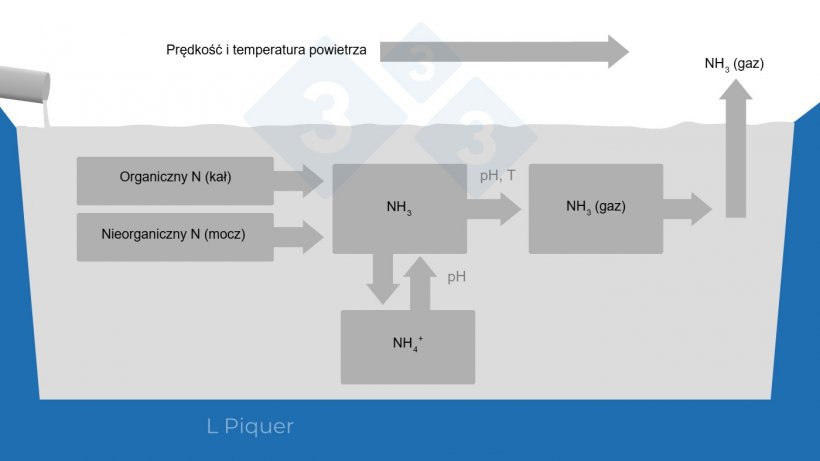 Rysunek 2.&nbsp;Cykl powstawania amoniaku (NH3) podczas przechowywania gnojowicy.
