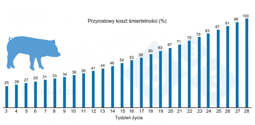 Wykres 1. Narastający koszt śmiertelności według tygodnia życia. Źr&oacute;dło: Velarde (2023).
