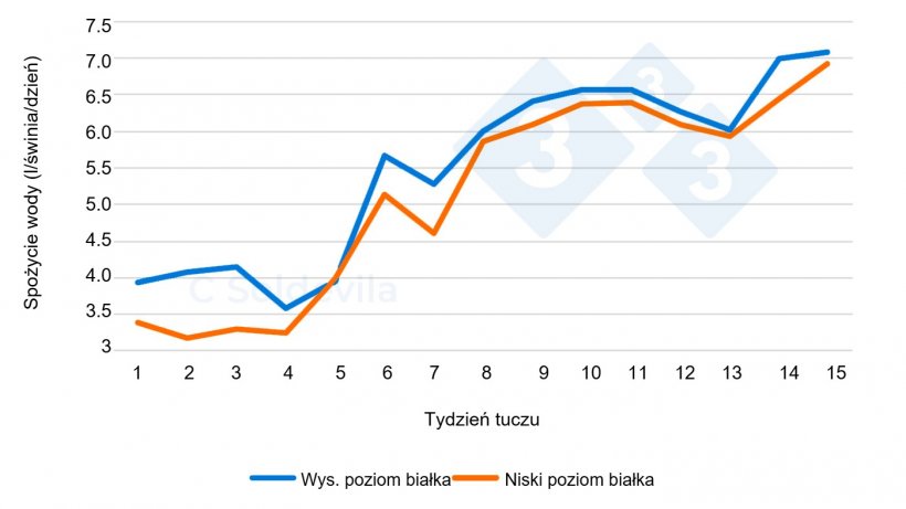 Wykres 1. Kształtowanie się zużycia wody w zależności od diety podczas tuczu.
