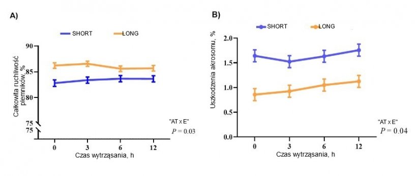 Rysunek 1. Wpływ interakcji między czasem mieszania (AT; 0, 3, 6 i 12 godzin) a rozcieńczalnikiem (E) (długoterminowym, LONG, i kr&oacute;tkoterminowym, SHORT) na całkowitą ruchliwość plemnik&oacute;w (A) i defekty akrosomu (B) w dawkach nasienia świń (n=20 knur&oacute;w). Wartości są wyrażone jako średnia &plusmn; SE (błąd standardowy).
