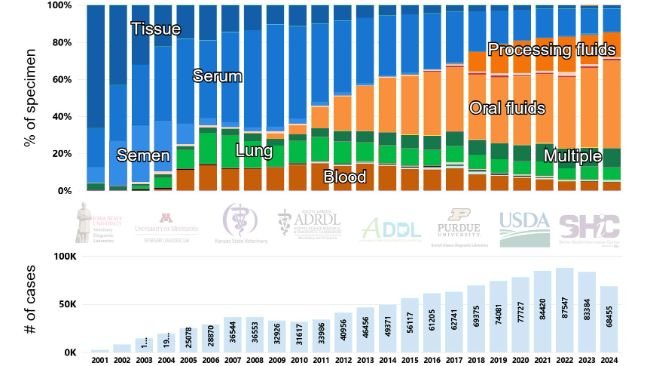 Rysunek 1. Liczba przypadków i podział według odsetka próbek badanych na obecność PRRSV metodą RT-PCR w czasie, w USA (2001-2024). Obraz zaczerpnięty ze strony internetowej Swine Disease Reporting System (SDRS, https://fieldepi.org/domestic-swine-disease-monitoring-program/)