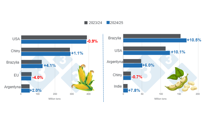 Prognozy zbior&oacute;w dla gł&oacute;wnych światowych producent&oacute;w kukurydzy i soi - sezon 2024/25 w por&oacute;wnaniu z sezonem 2023/24 - ostatnia aktualizacja: 11 października 2024 r. Przygotowane przez 333 Latin America na podstawie danych FAS - USDA.
