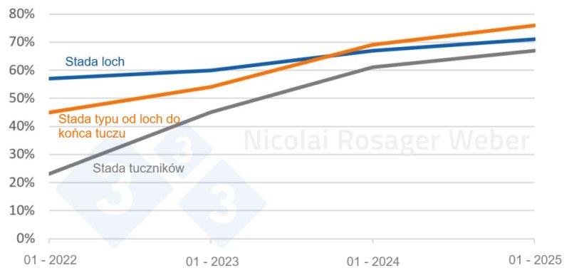 Dynamika zmian udziału stad PRRS-ujemnych w zależności od kategorii produkcyjnej
