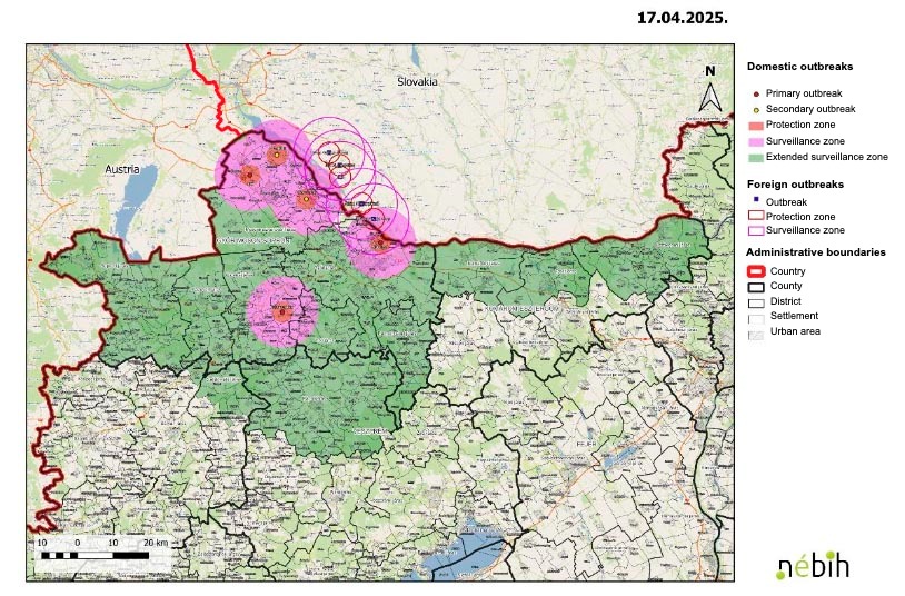 Outbreaks of foot and mouth disease as of April 17, 2025. Source: N&eacute;bih.
