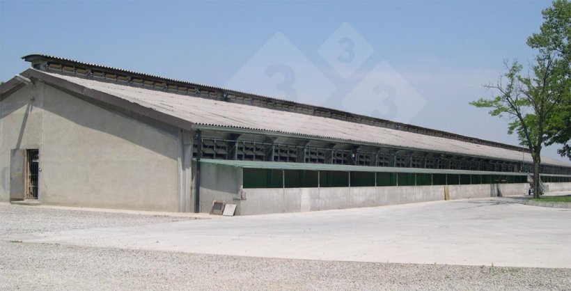 Otwory boczne i ciągła kalenica zapewniają naturalną wentylację.
