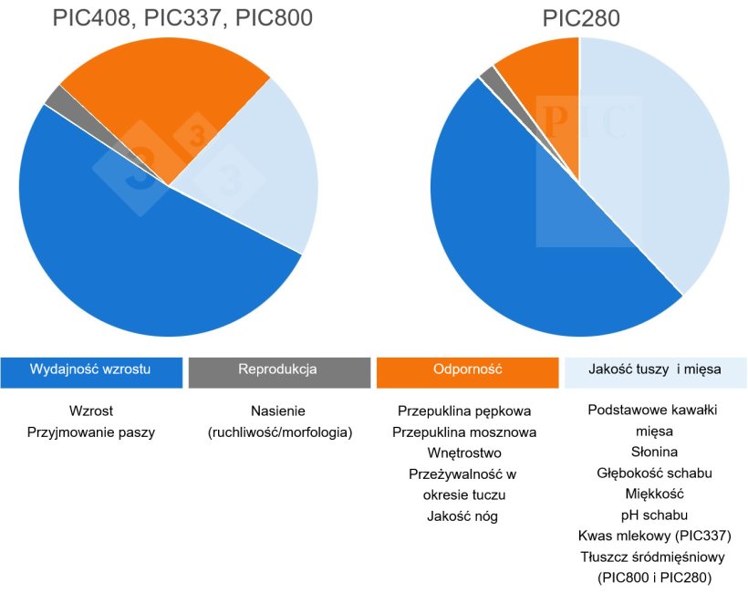 Cele selekcji w liniach końcowych PIC

