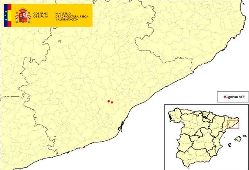 Lokalizacja 2 ognisk ASF u dzików wykrytych w Katalonii (Źródło: MAPA)