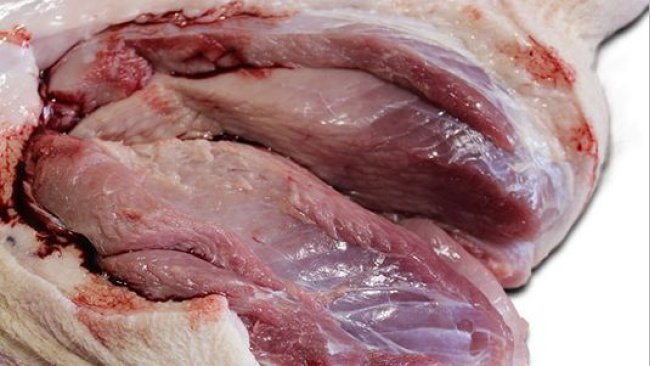 Pronounced paleness of the M. semimembranosus