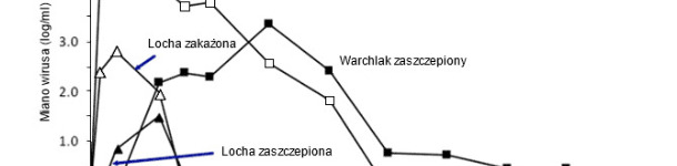Effect of pig age on PRRSV growth
