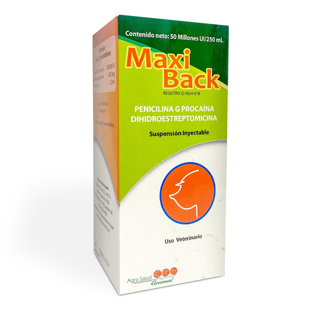 Antibiótico: Maxi Back