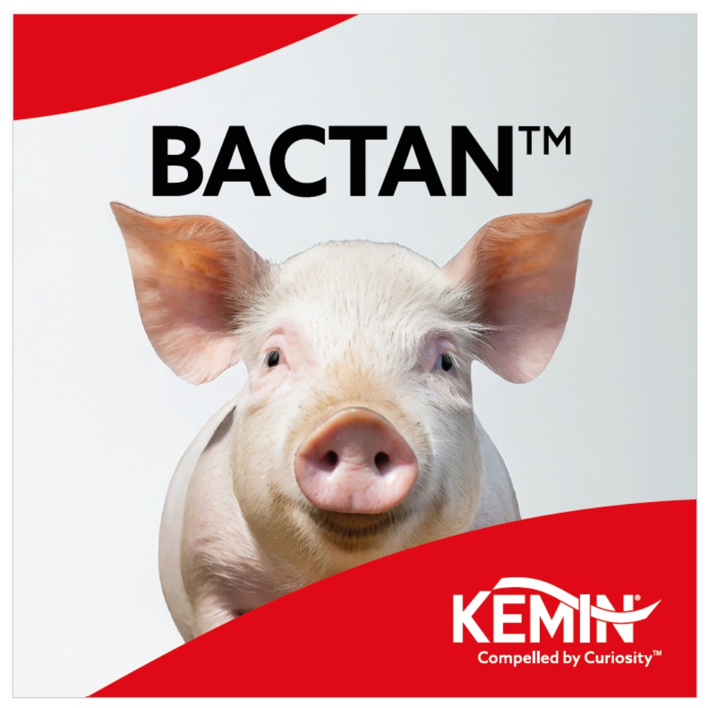 BACTAN™